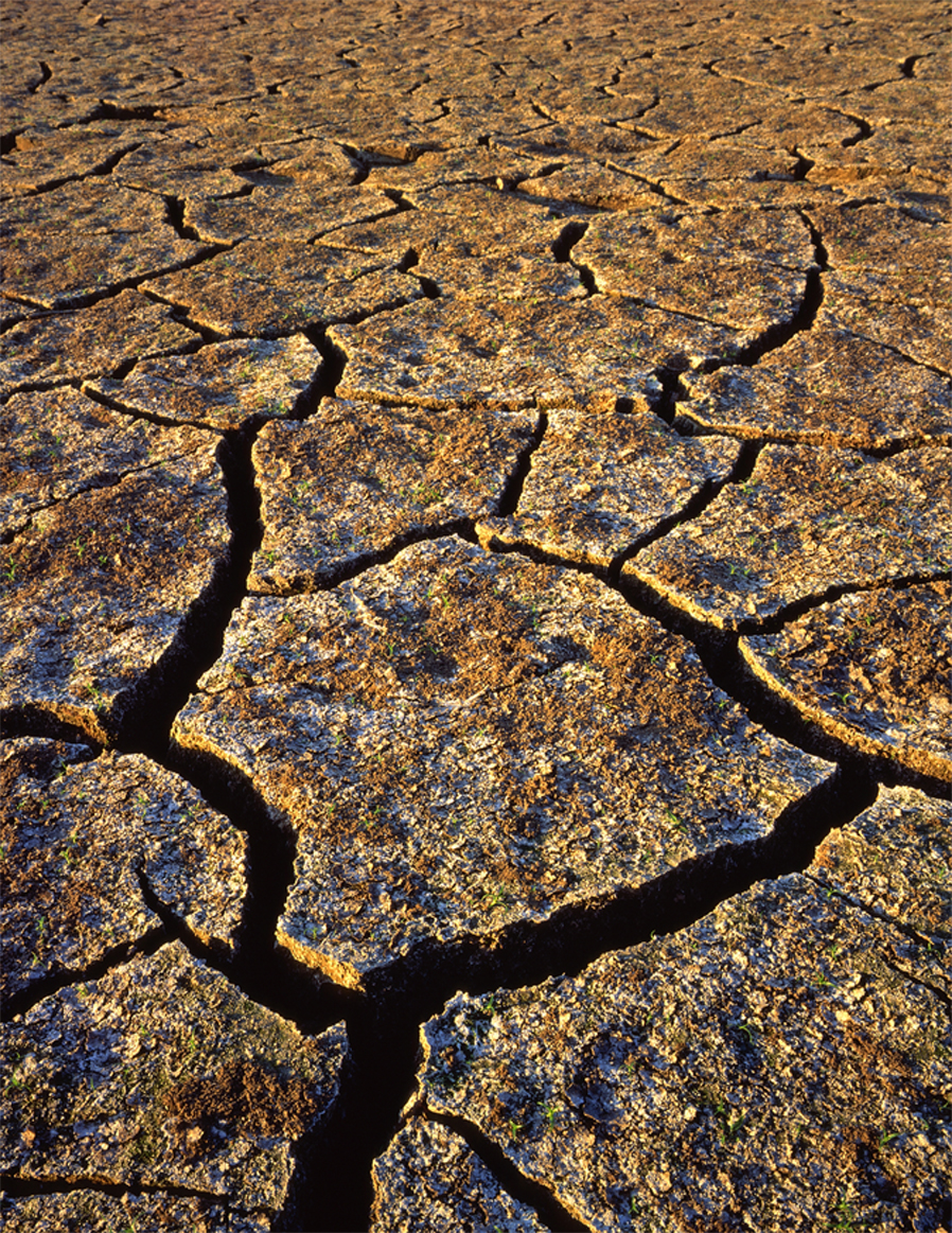 earth cracking Association for Progressive Communications